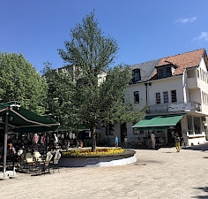 Cetinje